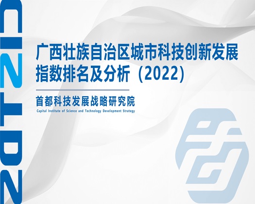 操逼免费网站视【成果发布】广西壮族自治区城市科技创新发展指数排名及分析（2022）